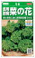 サカタのタネ 食用耐病菜の花 花娘 4.8ml【郵送対応】(なのはな、ナノハナ) 330円