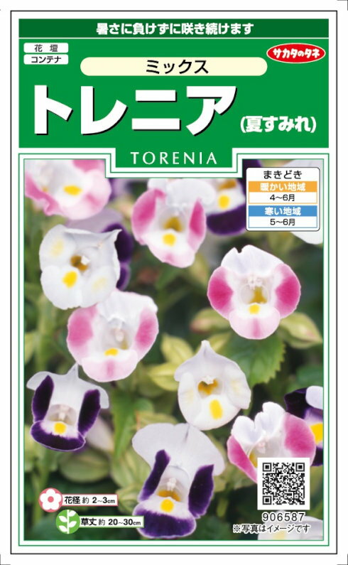 サカタのタネ　トレニア　夏すみれミックス　0.05ml【郵送対応】