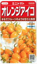 まるでフルーツのような甘さと食感 サカタのタネ　ミニトマト　オレンジアイコ 特長 赤色と黄色のアイコと同様、肉厚でゼリーの少ない、甘みと酸味のバランスがよいプラム形ミニトマトです。実つきがとてもよく、果実の割れが少なく房どりも可能です。 タネまき〜植えつけ 発芽温度（地温）20〜30℃が必要です。低温期になる場合は、加温や保温をし温度確保します。ポットなどに深さ1cmに種まき、育苗します。定植は最初の花が咲いたころを目安に株間50cmで植えつけます。 畑づくりと栽培管理 1平米当たり苦土石灰150g、完熟堆肥3kgと有機配合肥料80gを施してよく耕し、支柱を立ててひもで軽く結びます。果実が大きくなり始めたら、株のようすを見ながら控えめに追肥します。 収穫 開花後35日くらいで色づきます。果実は20g前後、ツヤのあるオレンジ色、糖度は8℃前後になります。割れにくいのでオレンジ色に熟してから収穫します。 ミニトマト [【種子】][【野菜】][【果菜類】][【トマト】][JAN: ]