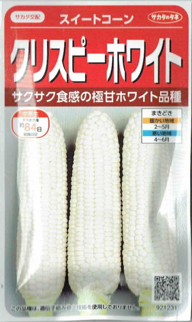 サカタのタネ　トウモロコシ　クリスピーホワイト　13ml【郵送対応】