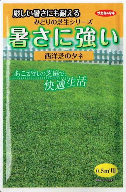 サカタのタネ　暑さに強い西洋芝のタネ　10g【郵送対応】