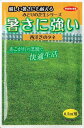 サカタのタネ 暑さに強い西洋芝のタネ 10g【郵送対応】