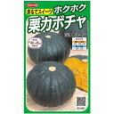 サカタのタネ ホクホク栗カボチャ メルヘン 6.5ml【郵送対応】