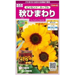 https://thumbnail.image.rakuten.co.jp/@0_mall/nikkoseed/cabinet/seeds/ssk/imgrc0082626819.jpg