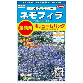 サカタのタネ　ネモフィラ　インシグニスブルー　景観用ボリュームパック　2g（約3平米分） 【郵送対応】