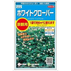 https://thumbnail.image.rakuten.co.jp/@0_mall/nikkoseed/cabinet/seeds/ssk/imgrc0086927533.jpg