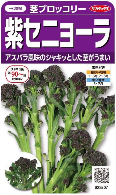 サカタのタネ 茎ブロッコリー 紫セニョーラ 約20粒【郵送対応】