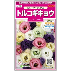 https://thumbnail.image.rakuten.co.jp/@0_mall/nikkoseed/cabinet/seeds/ssk/ssk1288s3001.jpg