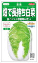 サカタのタネ 畑で長持ち白菜 富風 1.9ml【郵送対応】