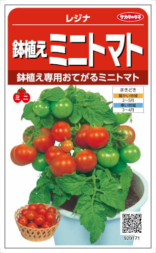 サカタのタネ トマト レジナ 0.6ml【郵送対応】のサムネイル