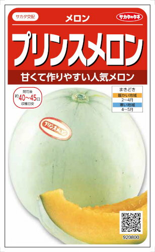 サカタのタネ　プリンスメロン　約9粒のサムネイル
