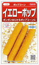 サカタのタネ ポップコーン イエローポップ 20ml【郵送対応】