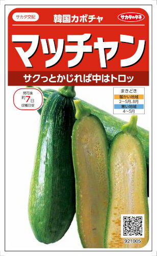 サカタのタネ カボチャ つるありズッキーニ型 マッチャン 約8粒【郵送対応】のサムネイル