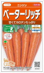 https://thumbnail.image.rakuten.co.jp/@0_mall/nikkoseed/cabinet/seeds/ssk/sskv1088f6001.jpg