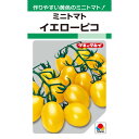 タキイ種苗 ミニトマト イエローピコ 27粒【郵送対応】