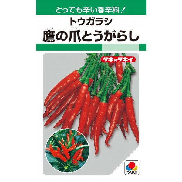 タキイ種苗　トウガラシ　鷹の爪とうがらし　360粒【郵送対応】のサムネイル