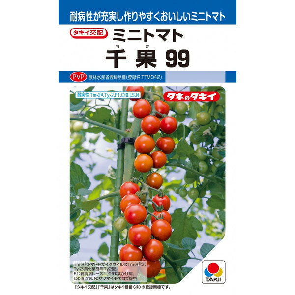 タキイ種苗　ミニトマト　千果99　12粒【郵送対応】【品種名：TTM042_登録番号：第23868号】
