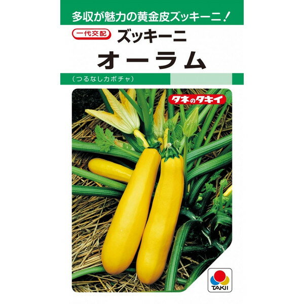 家庭菜園のプロ監修 失敗しない ズッキーニの育て方 人工授粉の方法も 農業 ガーデニング 園芸 家庭菜園マガジン Agri Pick