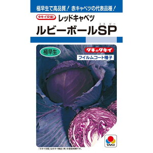 タキイ種苗　レッドキャベツ　ルビーボール　SP130粒【郵送対応】