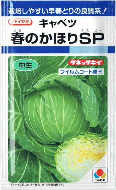 タキイ種苗　キャベツ　春のかほりSP　約150粒【郵送対応】