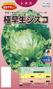 タキイ種苗　レタス　極早生シスコ　ペレット種子約150粒
