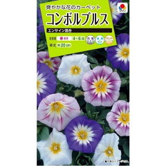 https://thumbnail.image.rakuten.co.jp/@0_mall/nikkoseed/cabinet/seeds/sta/imgrc0081359225.jpg