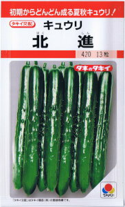 タキイ種苗　きゅうり　北進 約11粒 【郵送対応】
