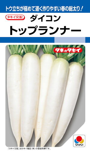 Other - タキイ種苗 ダイコン トップランナー 3.5ml 【郵送対応】