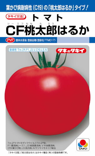 タキイ種苗 トマト CF桃太郎はるか 約16粒 【郵送対応】【品種名：TTM017_登録番号：第21739号】