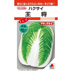 https://thumbnail.image.rakuten.co.jp/@0_mall/nikkoseed/cabinet/seeds/sta/sta1288604535.jpg