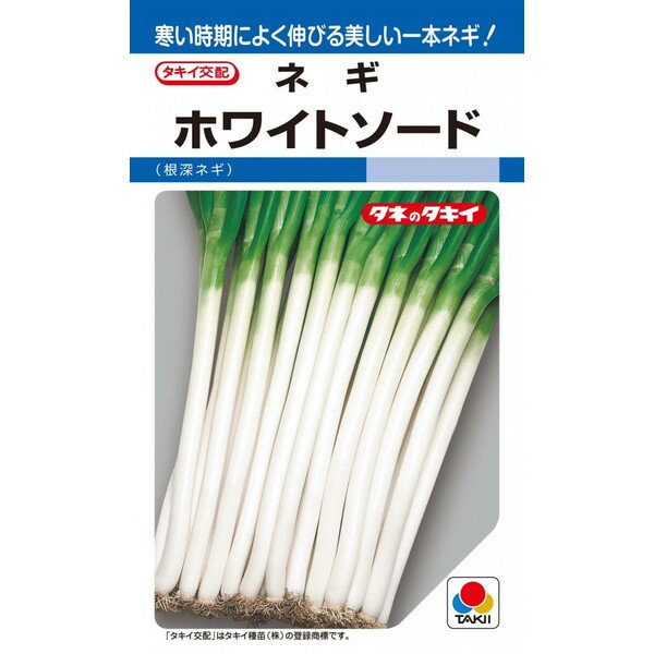 タキイ種苗　ネギ　ホワイトソード　6ml【郵送対応】のサムネイル