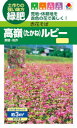 タキイ種苗 緑肥 赤花そば 高嶺ルビーNeo 15ml 【郵送対応】