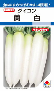 タキイ種苗　ダイコン　関白SP　15ml 【郵送対応】