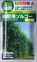 タキイ種苗　緑肥用ソルゴー　（ソルガム）　60ml 【郵送対応】