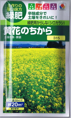 タキイ種苗　緑肥用からしな　黄花のちから　60ml 【郵送対応】