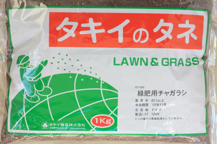 タキイ種苗　緑肥用チャガラシ　いぶし菜　1kg 【宅配便対応】