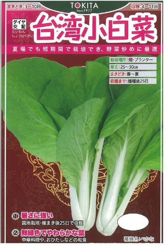 トキタ種苗 台湾小白菜 10ml【郵送対応】