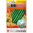 ときわ研究所 キュウリ 耐病あけぼの 約20粒【郵送対応】