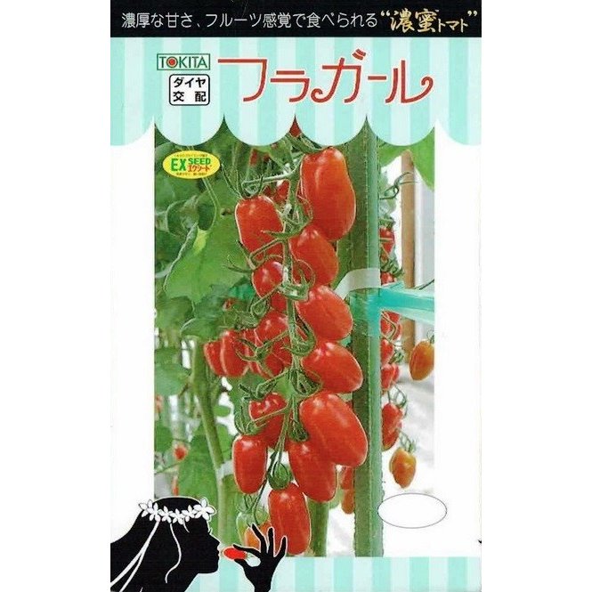 楽天日光種苗トキタ種苗　ミニトマト　フラガール　約8粒　【郵送対応】