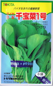 トキタ種苗　ダイヤ交配　ツケナ　千宝菜1号（せんぽうさい）[内容量： 5ml]