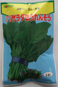 トキタ種苗　ダイヤ交配　サラダほうれんそう [内容量：1dl]