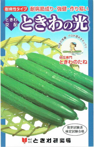 ときわ研究場 きゅうり ときわの光 約20粒【郵送対応】