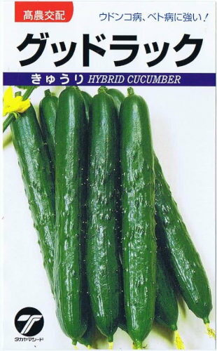 タカヤマシード キュウリ グッドラック 0.9ml【郵送対応】