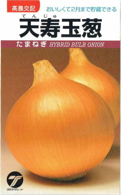 タカヤマシード　タマネギ「天寿」のタネ　4mlのサムネイル