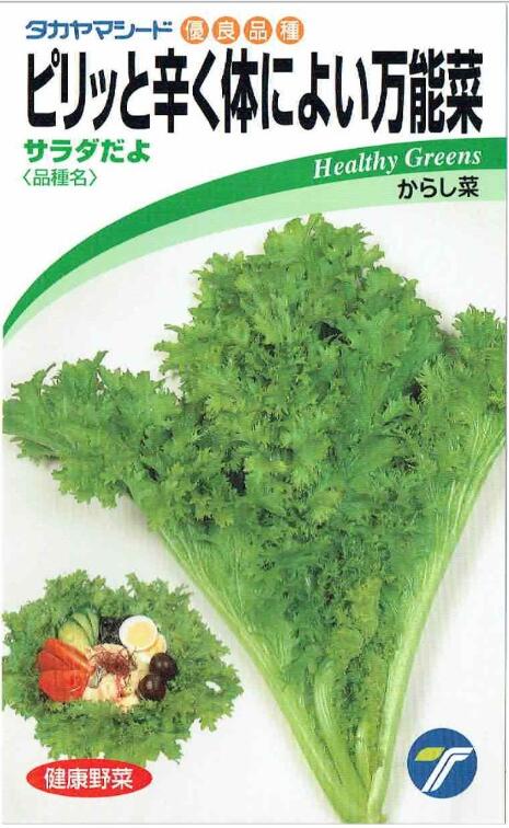 タカヤマシード　からし菜「サラダだよ」のタネ　5ml