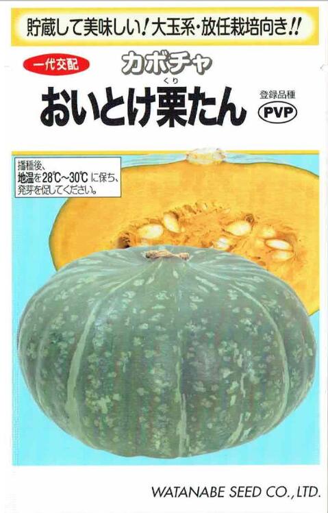 Rakuten - 渡辺採種場　カボチャ　おいとけ栗たん　約9粒【品種名：おいとけ栗たん_登録番号：第32781号_海外持出禁止】