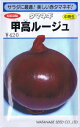 松島交配 タマネギ 甲高ルージュ 3.1ml 【郵送対応】