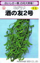 渡辺採種場 枝豆 酒の友2号 25ml 【郵送対応】