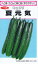 渡辺採種場 夏元気キュウリ 約14粒 【郵送対応】 550円