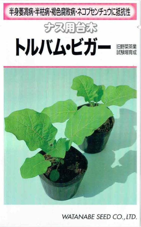 渡辺採種場　ナス用台木　トルバム・ビガー　[内容量：約250粒]